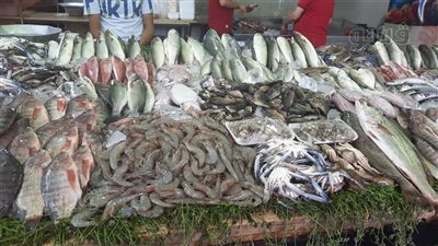 أسعار السمك اليوم، البوري يصل إلى 190 جنيها والبلطي يحافظ على استقراره
