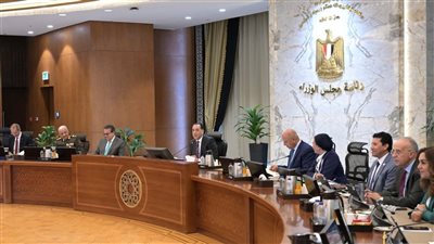 الحكومة توافق على تخصيص أراضٍ بالدولار من الخارج في عدة مدن جديدة