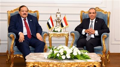 وزير الخارجية يؤكد لنظيره السوداني وقوف مصر بجانب الخرطوم 