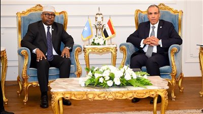 وزير الخارجية يبحث مع نظيره الصومالي تعزيز التعاون المشترك ومكافحة الإرهاب