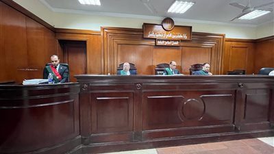 تأجيل محاكمة بائع خضروات بتهمة قتل شخصًا في الإسكندرية