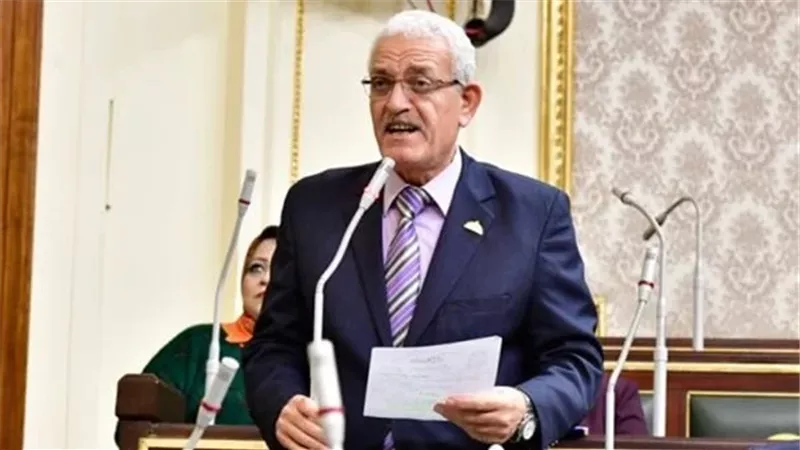 النائب عاطف المغاورى