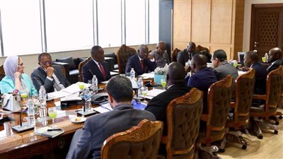 مصر تستضيف اجتماعات اللجنة التنفيذية للرابطة الإفريقية للإدارة العامة