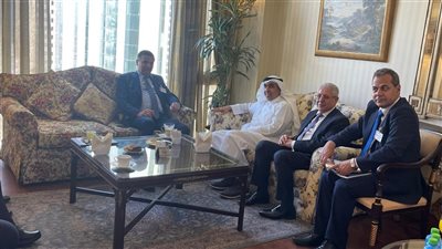 وزير الزراعة يبحث مع أمين مجلس الأعمال الكويتي المصري تعزيز الاستثمارات بالقطاع 