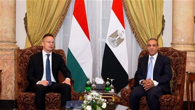 الخارجية: مصر ترفض تهجير الفلسطينيين من أرضهم تحت أي مسمى