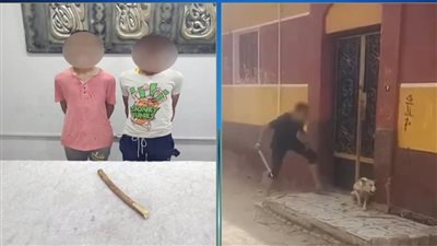 الأمن يكشف ملابسات فيديو تعذيب كلب في أطفيح وضبط المتهمين