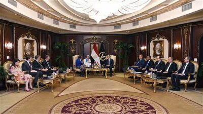 محمود توفيق يستقبل وزيرة الهجرة الهولندية ويؤكد أهمية تعزيز التعاون الأمني بين البلدين