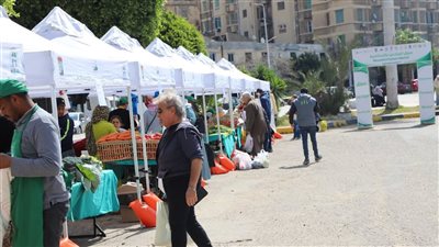 إقبال المواطنين على سوق المزارعين لليوم الواحد بالإسكندرية (صور)