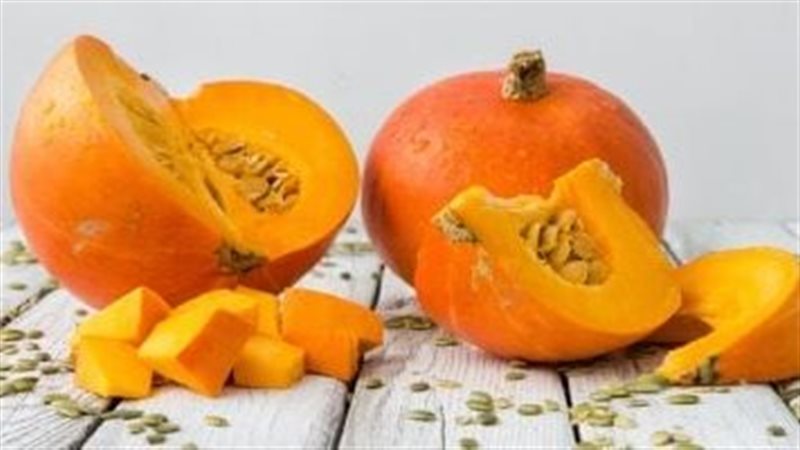قرع العسل 