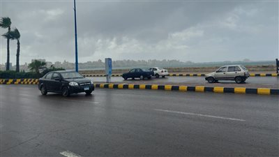 هطول أمطار متوسطة على الإسكندرية والمحافظة تعلن حالة الطوارئ (صور)