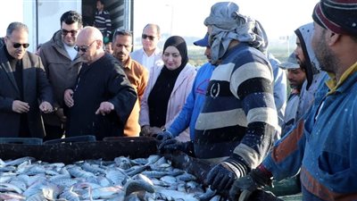 محافظ الشرقية يفتتح موسم صيد الأسماك بمزرعة العباسة في أبو حماد