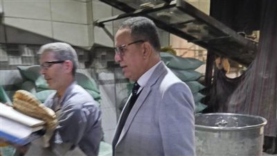 محافظ الدقهلية: ضبط 5 أطنان أسماك وملح ومخللات وذرة في حملة تموينية 