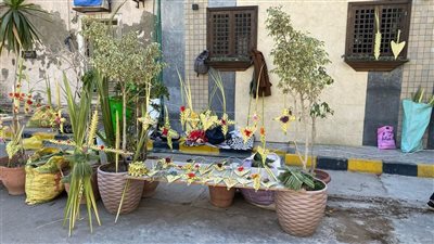 سعف ونخيل وأعواد قمح بساحات كنائس الإسكندرية استعدادا لـ أحد الشعانين (صور)