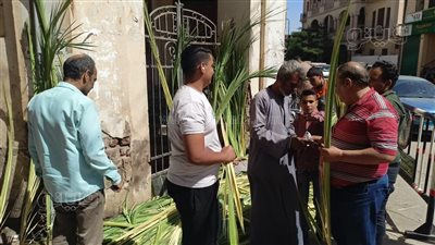 مسيحيو الأقصر يستعدون للاحتفال بأحد الشعانين، وإقبال على شراء زعف النخيل (فيديو وصور)