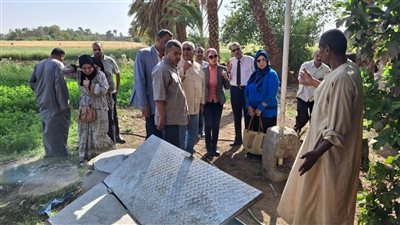 تضامن الأقصر: تدريب 200 مزارع على استخدام الأسمدة العضوية ضمن مشروع 