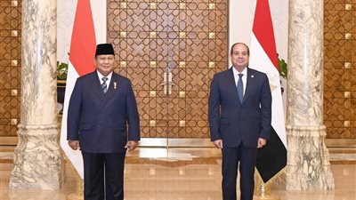 15 صورة ترصد زيارة رئيس إندونيسيا لقصر الاتحادية ولقاء السيسي