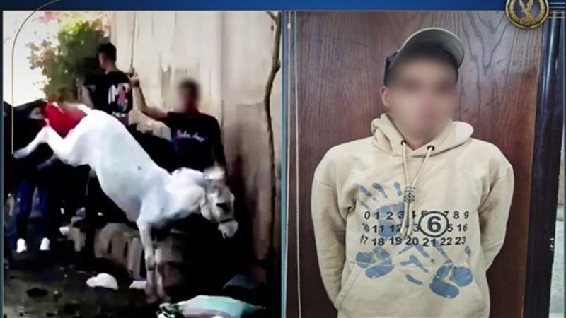 تفاصيل فيديو التعدي