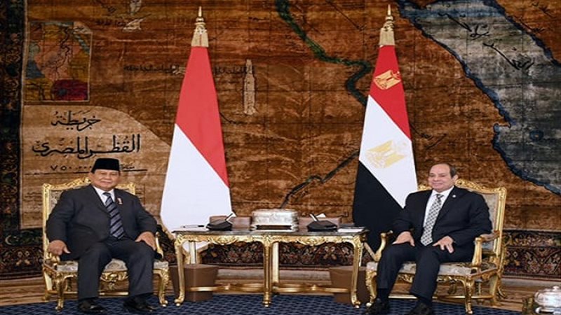 السيسي ونظيره الإندونيسي