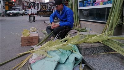 أسعارها من 15 إلي 20 جنيها، إقبال علي شراء السعف بالفيوم احتفالا بأحد الشعانين 