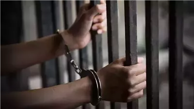 ضبط شخص بالوادي الجديد بتهمة الترويج لبيع أسلحة بيضاء عبر مواقع التواصل