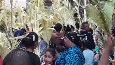  الأقباط يحتفلون بـ أحد الشعانين في شوارع وكنائس المنيا (صور) 