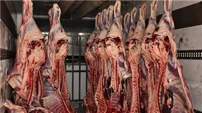 تفسير حلم اللحمة في المنام وعلاقته بزيادة الرزق 