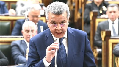 رئيس المركزي للمحاسبات: هيئات اقتصادية لم تستفد من القروض بينها القومية للأنفاق