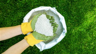  طن اليوريا العادي يتراجع 6273 جنيهًا، أسعار الأسمدة اليوم في الأسواق