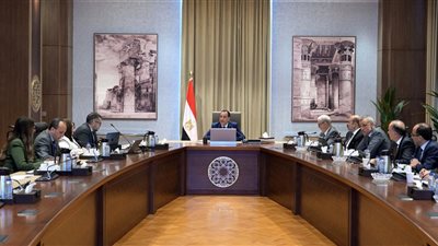 مدبولي: نواجه التحديات بأفكار المختصين.. ونبحث سيناريوهات تعزز الاستقرار الاقتصادي