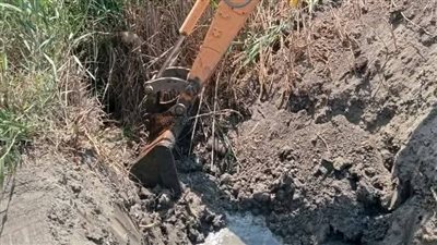 إزالة 8 مزارع سمكية مخالفة على مساحة 64 فدانًا جنوب بورسعيد (صور)