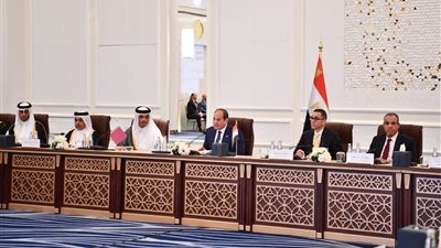 السيسي يدعو رجال الأعمال القطريين للاستثمار في مصر (فيديو وصور)