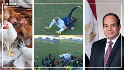 أخبار مصر: الرئيس السيسي يزور الكويت اليوم، تعليق أحمد قندوسي على إصابته، بشرى من المعاهد الأزهرية للعاملين، 6 جنيه زيادة في سعر الفراخ