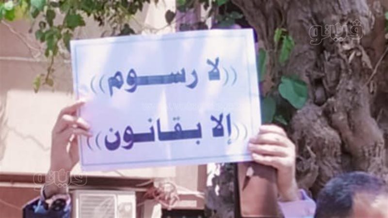 محاميو المنيا ينظمون