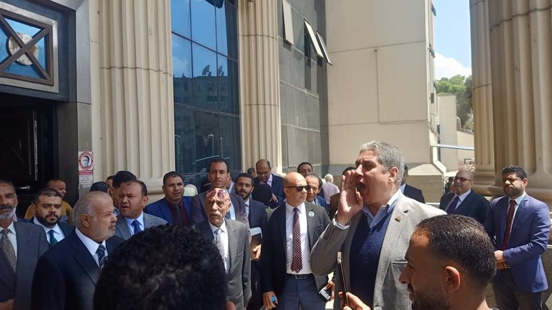وقفة محامي جنوب القاهرة