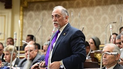 رئيس برلمانية مستقبل وطن يكشف ملامح تعديلات قوانين انتخابات النواب والشيوخ 