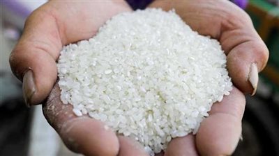 22 جنيها سعر كيلو الأرز 