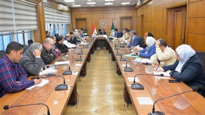 محافظ الدقهلية يناقش موقف تشغيل مشاريع حياة كريمة بقرى شربين