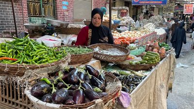 ارتفاع أسعار الفاكهة والخضروات اليوم بسوق الجيزة (صور) 