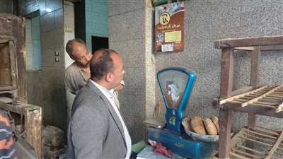 تحرير 6 محاضر في جولة على المخابز بقرى قنا (صور)