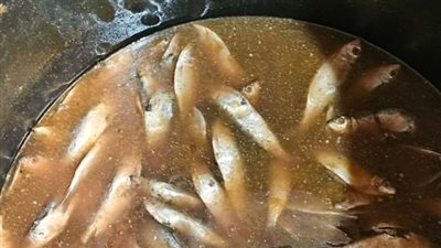  غلق 4 منشآت غذائية وإعدام طن فسيخ ورنجة وأسماك مجمدة في حملة بالدقهلية 