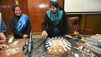تقليل استخدام البلاستيك ونشر الوعي البيئي، في ورشة عمل بجامعة الفيوم