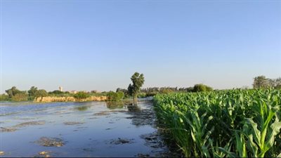 فيضان النيل يقترب، إخلاء عاجل لمنازل وأراضي طرح النهر في أشمون بالمنوفية