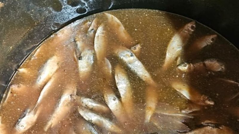 حملات بالدقهلية،