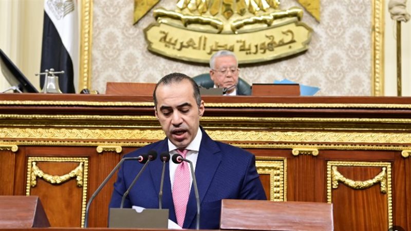 وزير الشئون النيابية،