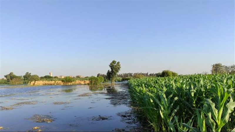 غرق أراضي طرح النهر،
