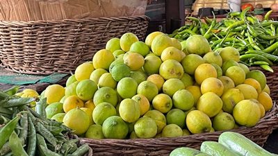 شعبة الخضراوات تكشف موعد انتهاء أزمة اسعار الليمون
