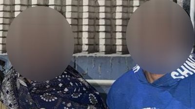 الداخلية تكشف ملابسات فيديو تعذيب حصان لإجباره على سحب حمولة زائدة بالقاهرة