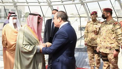 السيسي وولي عهد الكويت يرفضان تهجير الفلسطينيين من أرضهم
