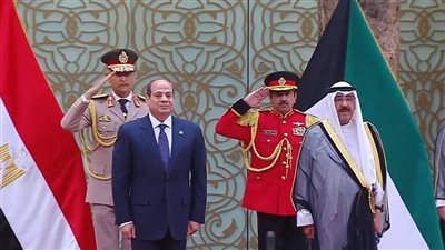  أهم 4 سلع استوردتها مصر من الكويت خلال عام 2024 