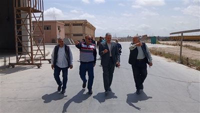 تموين الإسكندرية يستعد لحصاد 25 ألف فدان قمح (صور)